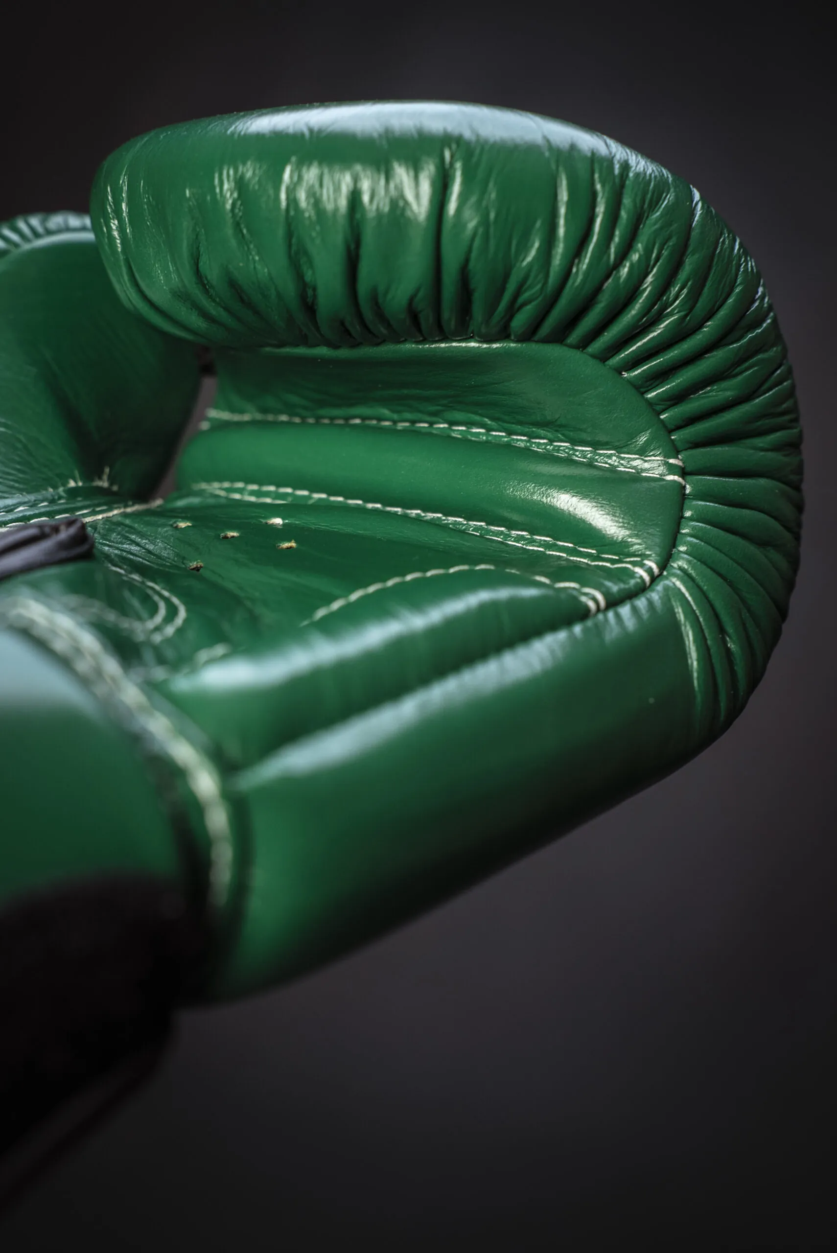 BGV16 Verde_4